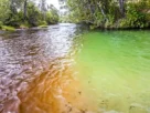 Canal natural em um rio brasileiro, utilizado por diversas espécies de peixes para deslocamento e alimentação.