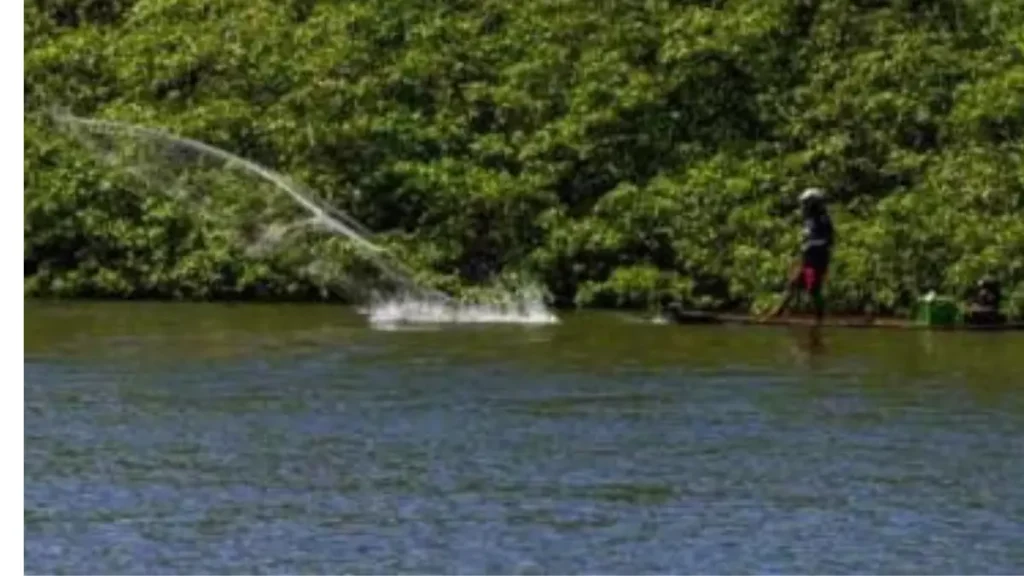 Estuário do Rio Formoso, com águas calmas, ideal para pesca esportiva de robalos.