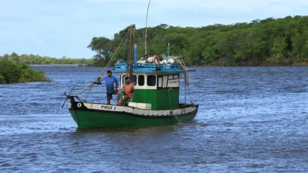 Trecho do Rio Preguiças no Maranhão cercado por vegetação preservada.
