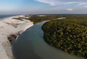 Paisagem de rio no Maranhão utilizada para pesca esportiva de grandes peixes em ambiente natural .