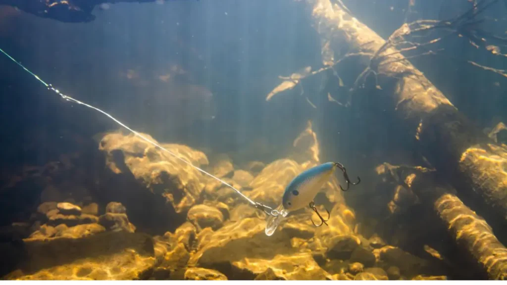 Como evitar enrosco na pesca em galhadas e estruturas fácil. 3 Trabalho correto da isca artificial próximo às galhadas.