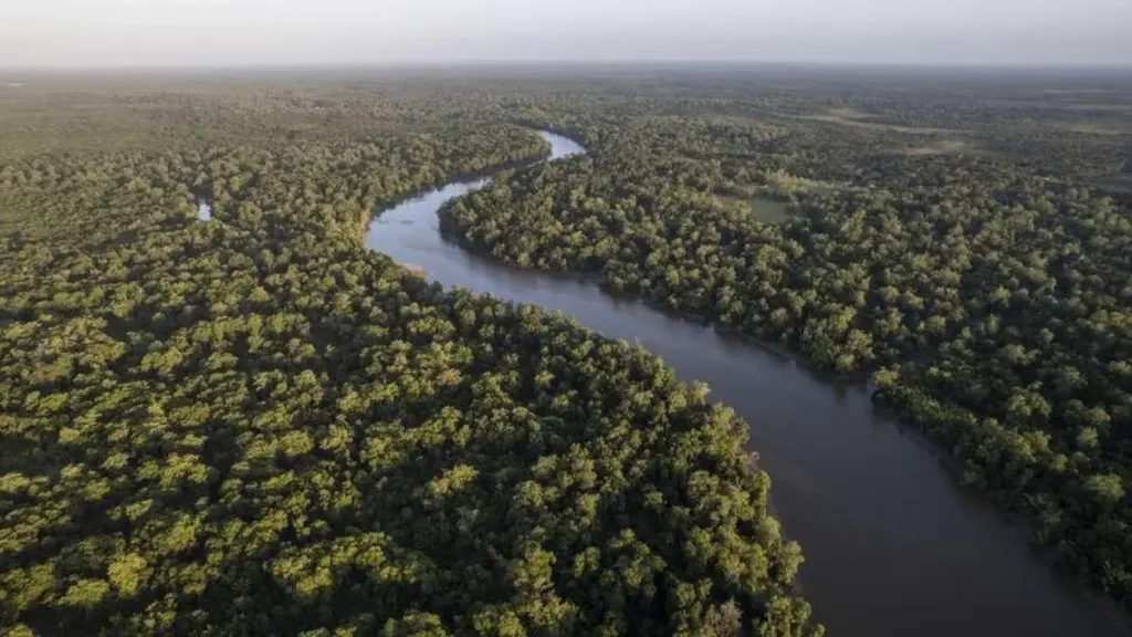Pesca esportiva no Amapá.