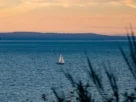 Bacia do Prata, com os rios Paraná, Paraguai e Uruguai, e ambientes de pesca de água doce.
