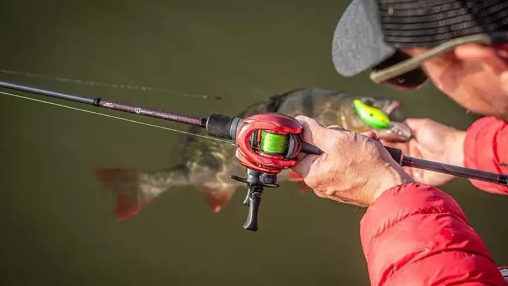 Carretilha de perfil baixo usada em pesca de precisão.
