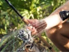 Como conservar varas de pesca com limpeza e manutenção adequada.