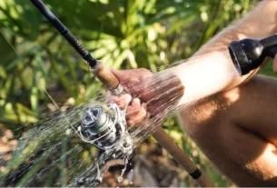 Como conservar varas de pesca com limpeza e manutenção adequada.