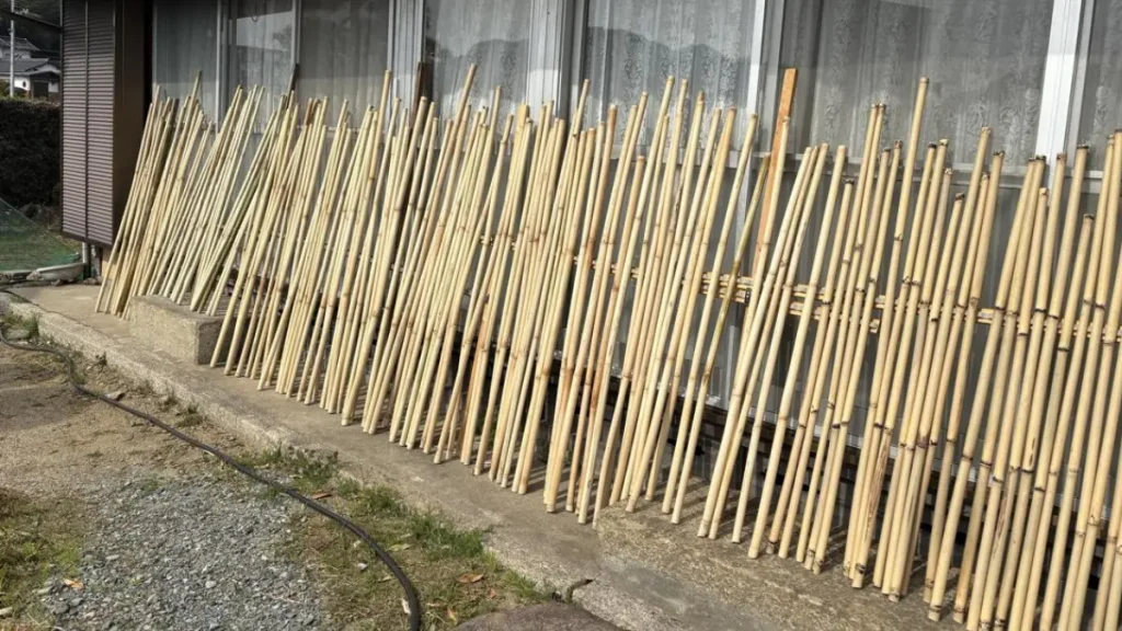 Cura e secagem do bambu usado na fabricação de vara de pesca.