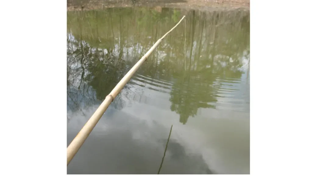 Limitações técnicas da vara de bambu na pesca.