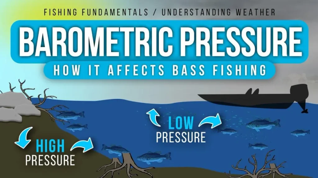 Peixes submersos reagindo às mudanças das condições atmosféricas e do ambiente.
