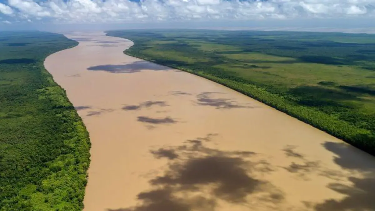 Pesca esportiva no Amapá em rio amazônico cercado pela floresta.