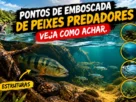 Pontos de emboscada de peixes predadores: veja como achar.