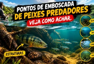 Pontos de emboscada de peixes predadores: veja como achar.