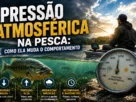 Pressão atmosférica e mudança do tempo influenciando o comportamento dos peixes na pesca.