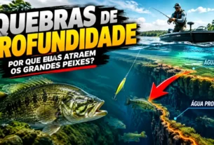 Quebras de profundidade no lago atraindo grandes peixes para a área de transição entre águas rasas e profundas.
