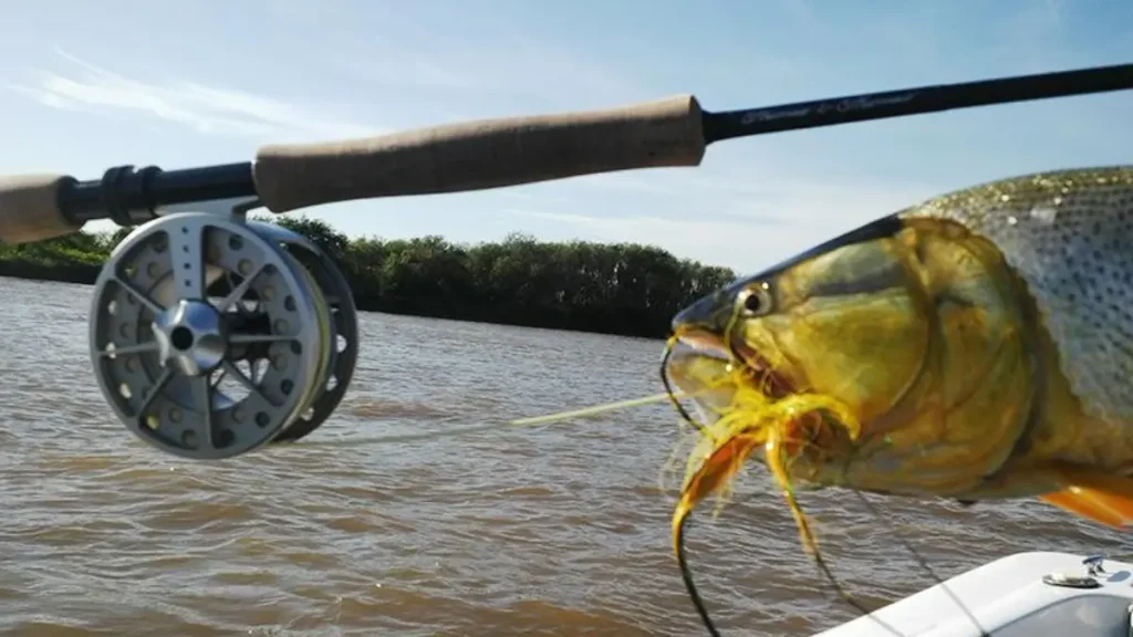 Rio Paraná com ambiente de pesca esportiva para dourado em águas brasileiras.