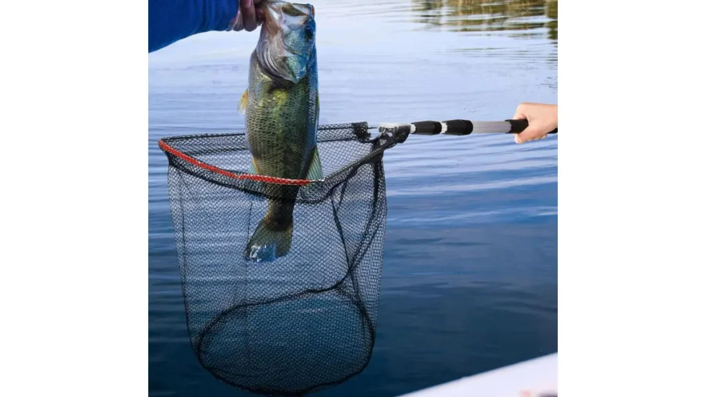 Passaguá para pesca: como escolher sem perder peixe. 4 Uso correto do passaguá para retirar o peixe da água com segurança.