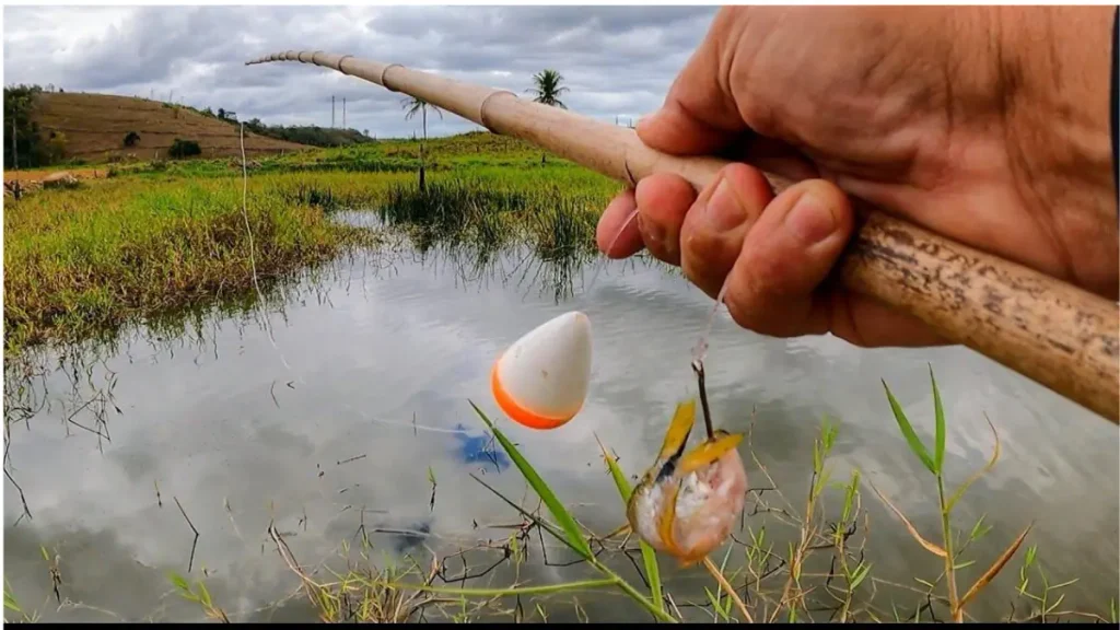 Pescador utilizando vara de bambu em pescaria simples.