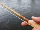 Vara de bambu para pesca artesanal em água doce.