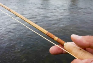 Vara de bambu para pesca artesanal em água doce.