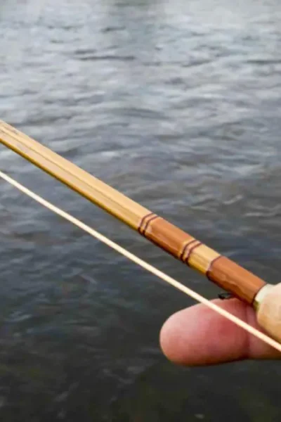 Vara de bambu para pesca artesanal em água doce.