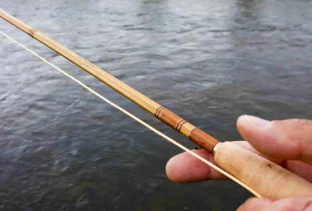 Vara de bambu para pesca artesanal em água doce.