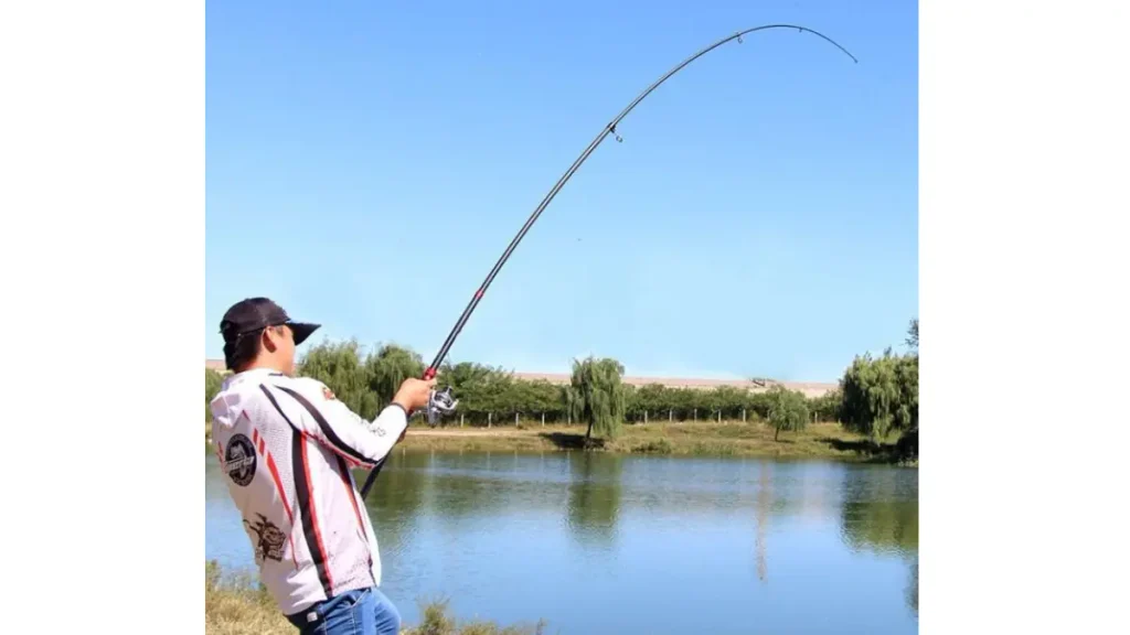 Comprimento da vara de pesca ideal.