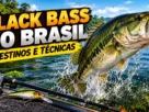 Black bass saltando para fora da água durante a pesca esportiva, com destaque para os destinos e as técnicas de captura no Brasil.
