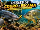 Comparação entre peixes de couro e peixes de escama e suas diferenças anatômicas.