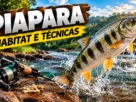 Piapara saltando nas águas de um rio, representando as características da espécie, seu habitat e as técnicas de pesca.